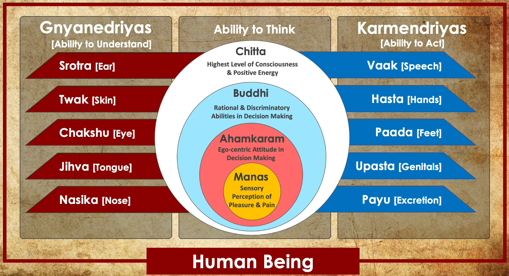 Human%20in%20Veds